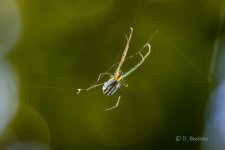 _DAB1673-DeNoiseAI-low-light.jpg