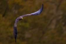 _DAB3304-5.jpg