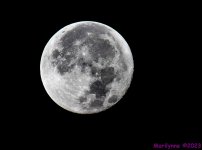 DSC_2440_001.JPG