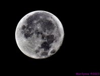 DSC_2451_001.JPG