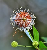 DSC_2539_001.JPG