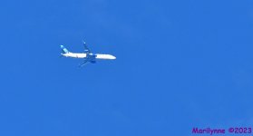 DSC_2569_001.JPG
