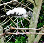 DSC_2570_001.JPG