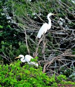 DSC_2564_001.JPG
