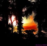 DSC_2690_001.JPG