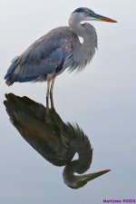 DSC_2659_001.JPG