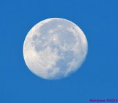 DSC_2696_001.JPG