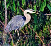 DSC_2704_001.JPG