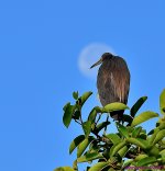 DSC_2749_001.JPG