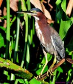 DSC_2840_001.JPG