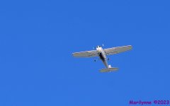 DSC_2841_001.JPG