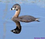 DSC_3046_001.JPG