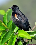DSC_3179_001.JPG