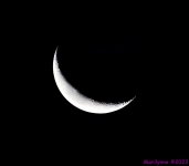 DSC_0753_001.JPG