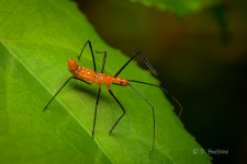 _DAB0052-SharpenAI-Motion.jpg