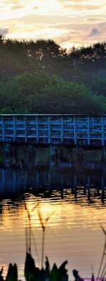 DSC_3302_stitch4_001.JPG