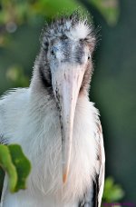 DSC_3327_001.JPG