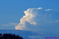 DSC_3348_001.JPG