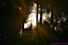 DSC_3366_stitch_001.JPG
