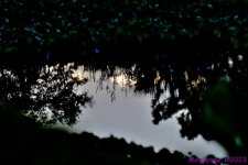 DSC_3369_001.JPG
