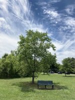 IMG_0680 resize.jpg