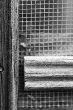 MacroAbstracts-4.jpg