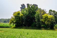 _Z810804.jpg