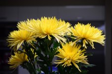 DSC_1822.jpg