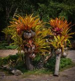 flower-pot-1.jpg