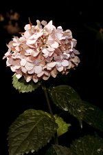small_DSC0017.jpg