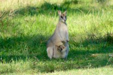 DSC_1068.jpg
