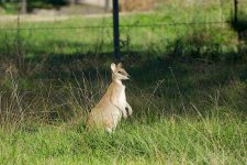 DSC_1069.jpg