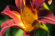 DSC_2306.jpg