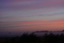 DSC_1013.jpg