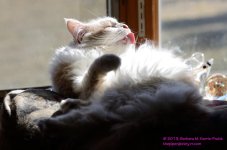 096 Creature-130406-01_01.jpg