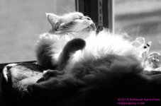 096 Creature-130406-01-B&W_01.jpg