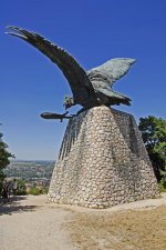 _DSC2238_1.jpg