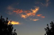 CLOUDS 033.jpg