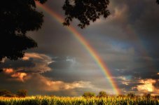 rainbow1200.jpg