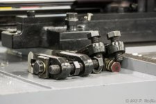 DSC_2317.jpg