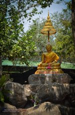 budha-1.jpg