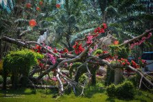 blumenstrauch-1.jpg