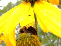 DSCN9356.jpg
