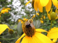 DSCN9359.jpg