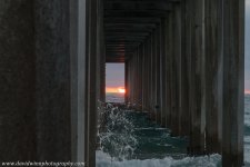 _DW11431.jpg