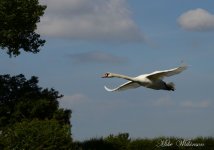 DSC_8157.jpg