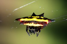 DSC_1163.jpg