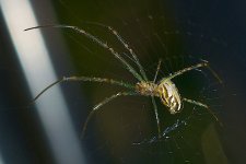 DSC_1165.jpg