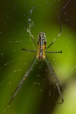DSC_1178.jpg