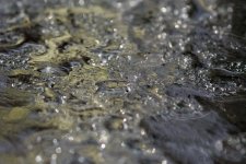 DSC_2413.jpg